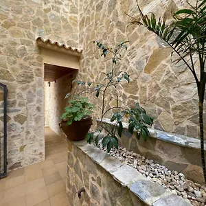 Gallu , Cala Ratjada (Mallorca) Espagne
